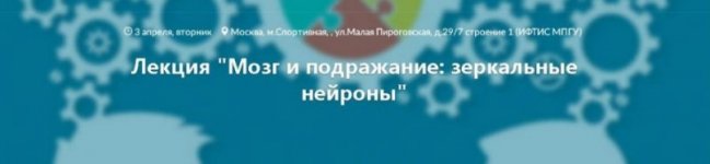 45931_0.jpg