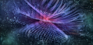 25.png