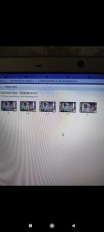 Screenshot_2021-02-16-10-42-37-605_com.miui.gallery.jpg