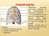 Screenshot_2.jpg