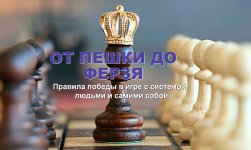198_17640163478867.jpg