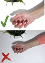 Безымянный.jpg