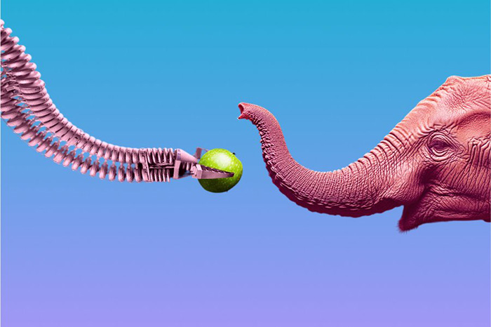 1744062998093.png
