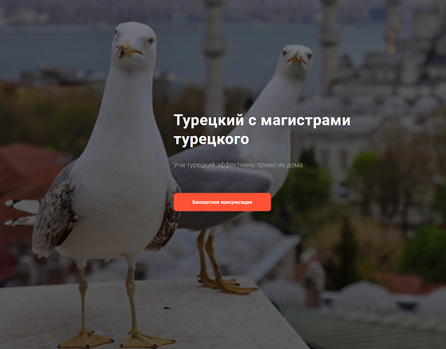 1745019549354.png